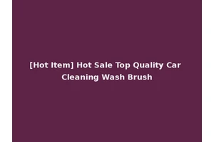 [Hot Item] Hot Sale Top Quality Car Cleaning Wash Brush
