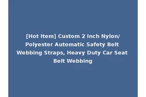 [Hot Item] Custom 2 Inch Nylon/Polyester Automatic Safety Belt Webbing Straps, Heavy Duty Car Seat Belt Webbing