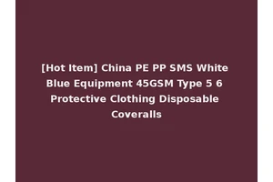[Hot Item] China PE PP SMS White Blue Equipment 45GSM Type 5 6 Protective Clothing Disposable Coveralls