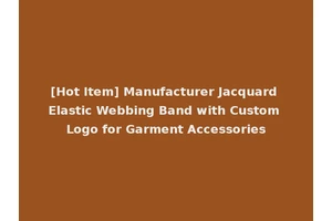 [Hot Item] Manufacturer Jacquard Elastic Webbing Band with Custom Logo for Garment Accessories