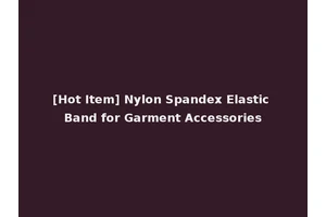 [Hot Item] Nylon Spandex Elastic Band for Garment Accessories