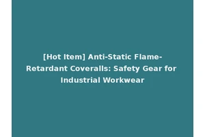 [Hot Item] Anti-Static Flame-Retardant Coveralls: Safety Gear for Industrial Workwear