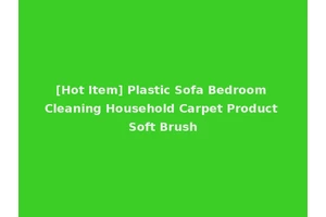 [Hot Item] Plastic Sofa Bedroom Cleaning Household Carpet Product Soft Brush