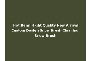 [Hot Item] Hight Quality New Arrival Custom Design Snow Brush Cleaning Snow Brush