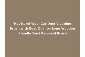[Hot Item] Wool Car Dust Cleaning Brush with Best Quality, Long Wooden Handle Dust Removal Brush