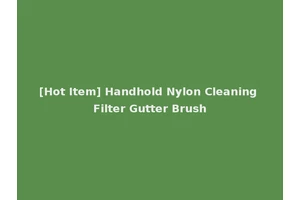 [Hot Item] Handhold Nylon Cleaning Filter Gutter Brush