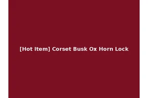 [Hot Item] Corset Busk Ox Horn Lock