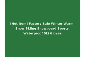[Hot Item] Factory Sale Winter Warm Snow Skiing Snowboard Sports Waterproof Ski Gloves