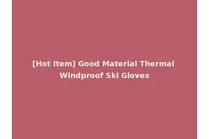 [Hot Item] Good Material Thermal Windproof Ski Gloves