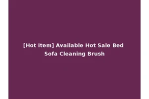 [Hot Item] Available Hot Sale Bed Sofa Cleaning Brush