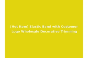 [Hot Item] Elastic Band with Customer Logo Wholesale Decorative Trimming