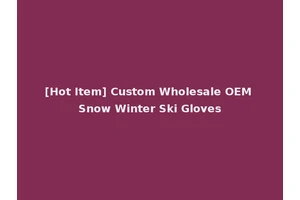 [Hot Item] Custom Wholesale OEM Snow Winter Ski Gloves