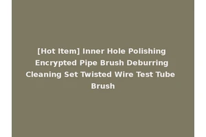 [Hot Item] Inner Hole Polishing Encrypted Pipe Brush Deburring Cleaning Set Twisted Wire Test Tube Brush