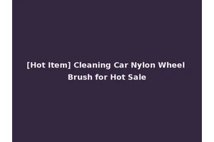 [Hot Item] Cleaning Car Nylon Wheel Brush for Hot Sale