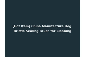 [Hot Item] China Manufacture Hog Bristle Sealing Brush for Cleaning