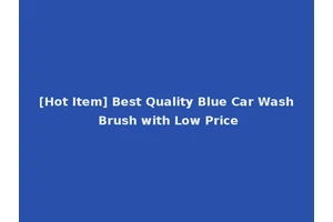 [Hot Item] Best Quality Blue Car Wash Brush with Low Price