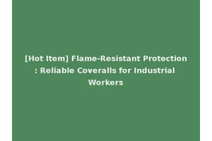 [Hot Item] Flame-Resistant Protection: Reliable Coveralls for Industrial Workers