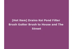 [Hot Item] Drains Koi Pond Filter Brush Gutter Brush to House and The Street