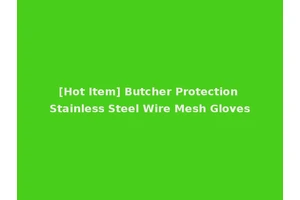 [Hot Item] Butcher Protection Stainless Steel Wire Mesh Gloves