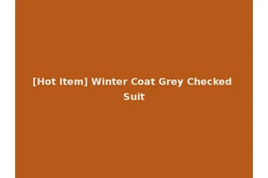 [Hot Item] Winter Coat Grey Checked Suit