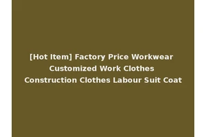 [Hot Item] Factory Price Workwear Customized Work Clothes Construction Clothes Labour Suit Coat