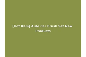 [Hot Item] Auto Car Brush Set New Products