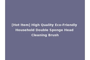 [Hot Item] High Quality Eco-Friendly Household Double Sponge Head Cleaning Brush