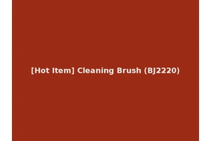 [Hot Item] Cleaning Brush (BJ2220)