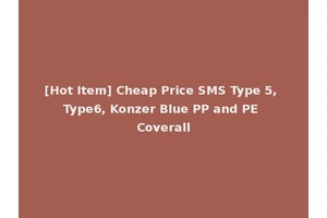 [Hot Item] Cheap Price SMS Type 5, Type6, Konzer Blue PP and PE Coverall