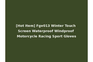 [Hot Item] Fgv013 Winter Touch Screen Waterproof Windproof Motorcycle Racing Sport Gloves