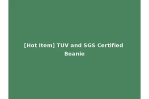 [Hot Item] TUV and SGS Certified Beanie