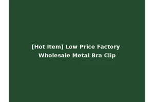 [Hot Item] Low Price Factory Wholesale Metal Bra Clip