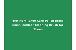 [Hot Item] Shoe Care Polish Brass Brush Outdoor Cleaning Brush for Shoes