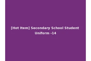 [Hot Item] Secondary School Student Uniform -14