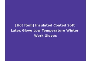 [Hot Item] Insulated Coated Soft Latex Glove Low Temperature Winter Work Gloves
