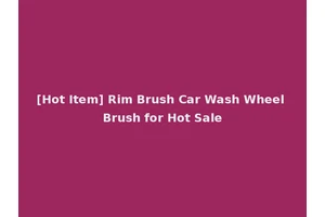 [Hot Item] Rim Brush Car Wash Wheel Brush for Hot Sale