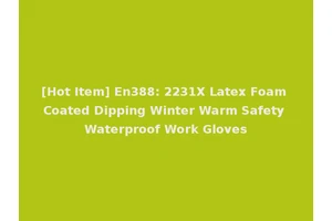 [Hot Item] En388: 2231X Latex Foam Coated Dipping Winter Warm Safety Waterproof Work Gloves