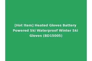 [Hot Item] Heated Gloves Battery Powered Ski Waterproof Winter Ski Gloves (BD15005)