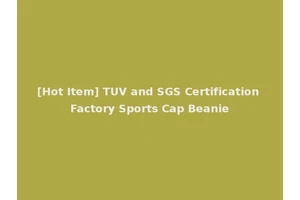 [Hot Item] TUV and SGS Certification Factory Sports Cap Beanie