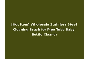 [Hot Item] Wholesale Stainless Steel Cleaning Brush for Pipe Tube Baby Bottle Cleaner