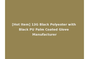 [Hot Item] 13G Black Polyester with Black PU Palm Coated Glove Manufacturer