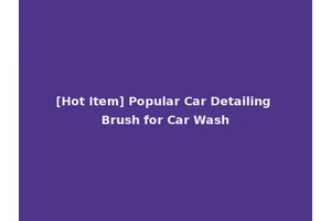 [Hot Item] Popular Car Detailing Brush for Car Wash