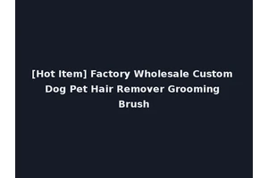 [Hot Item] Factory Wholesale Custom Dog Pet Hair Remover Grooming Brush