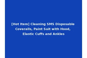 [Hot Item] Cleaning SMS Disposable Coveralls, Paint Suit with Hood, Elastic Cuffs and Ankles