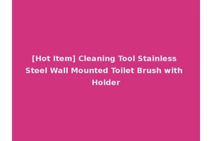 [Hot Item] Cleaning Tool Stainless Steel Wall Mounted Toilet Brush with Holder