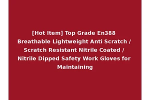 [Hot Item] Top Grade En388 Breathable Lightweight Anti Scratch / Scratch Resistant Nitrile Coated / Nitrile Dipped Safety Work Gloves for Maintaining