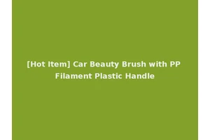 [Hot Item] Car Beauty Brush with PP Filament Plastic Handle
