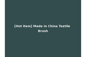 [Hot Item] Made in China Textile Brush