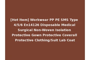 [Hot Item] Workwear PP PE SMS Type 4/5/6 En14126 Disposable Medical Surgical Non-Woven Isolation Protective Gown Protective Coverall Protective Clothing/Suit Lab Coat