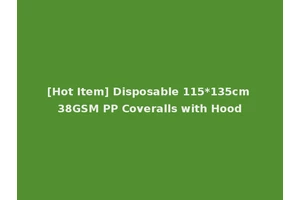 [Hot Item] Disposable 115*135cm 38GSM PP Coveralls with Hood